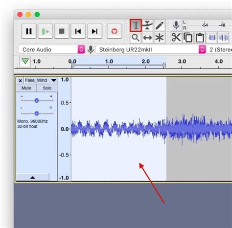 Image result for Audacity Loop Track