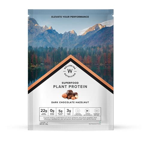 Buy Wellbeing Nutrition Superfood Plant Protein Isolate Dark Chocolate ...