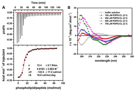 The Synthetic Peptide LyeTx I mn∆K, Derived from Lycosa erythrognatha ...