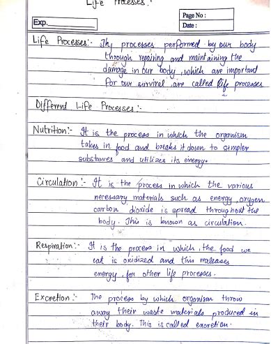 Image result for Class 10 Science Handwritten Notes