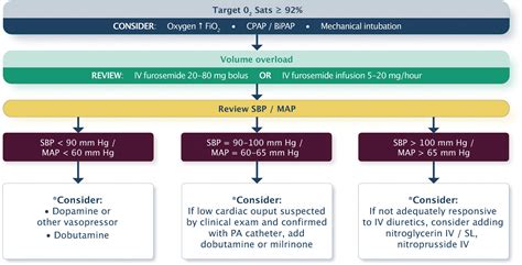 Acute Heart Failure - Cardio Guide