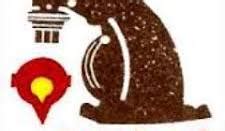 Optivantage | Infrastructure Excellence & AI Innovation