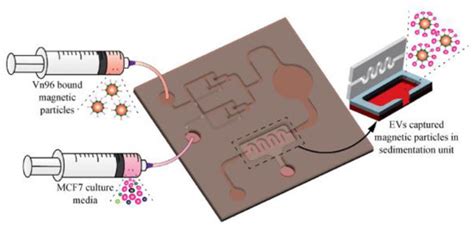 Micromachines | Special Issue : Microfluidics and Lab-on-a-Chip ...