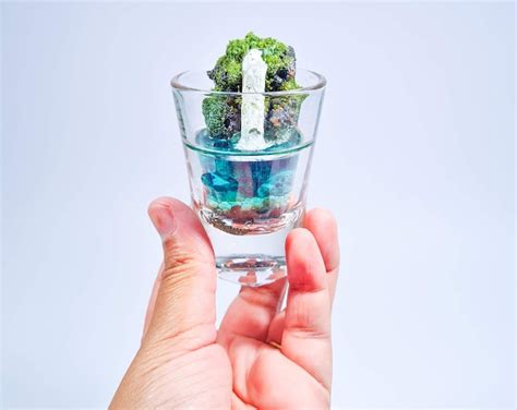 Beach Terrarium/ Terrarium Container /miniature Beach/ Glass Terrarium ...