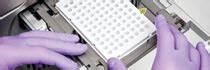 PCR Process Steps - PCR Products from Cole-Parmer India