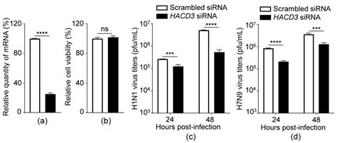 HACD3 Prevents PB1 from Autophagic Degradation to Facilitate the Replication of Influenza A Virus