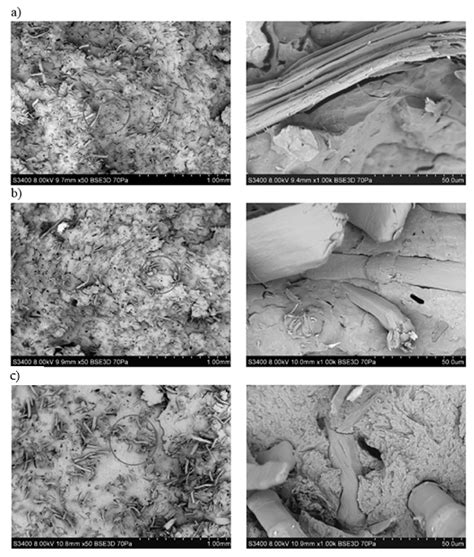 Influence of the Alkali Treatment of Flax and Hemp Fibers on the ...