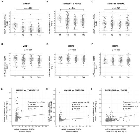 Loss of MMP-27 Predicts Mandibular Bone Invasion in Oral Squamous Cell ...