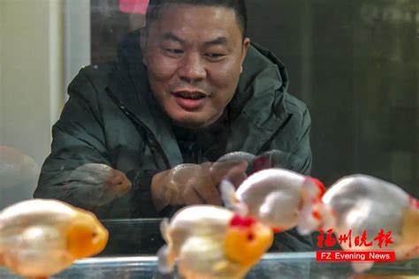 福建福州鱼丸少了鱼味 目前市面上不少鱼丸鱼肉含量成谜_水产快讯（水产加工）_水产养殖网
