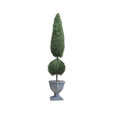 Design Toscano Classic Topiary Small Tree Urn : Amazon.in: Garden ...