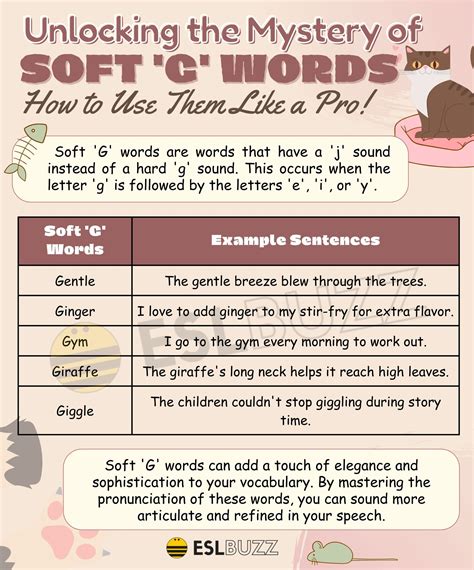 Soft G Words: The Ultimate Guide for Learning English Vocabulary and ...