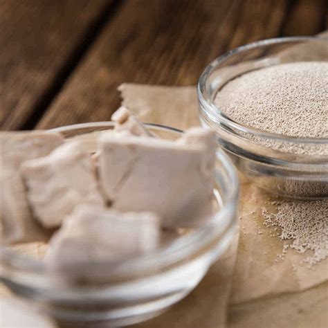 2 Best Ways To Store Fresh Yeast (Keep It Alive Longer)