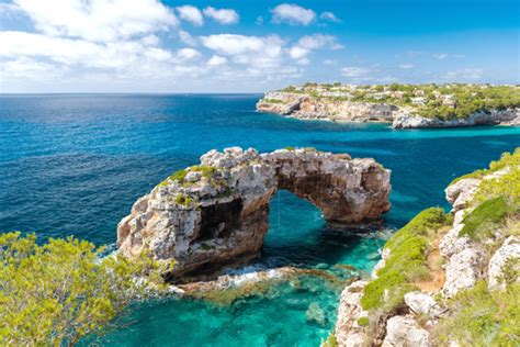 Image result for Opensanctions API Configuration