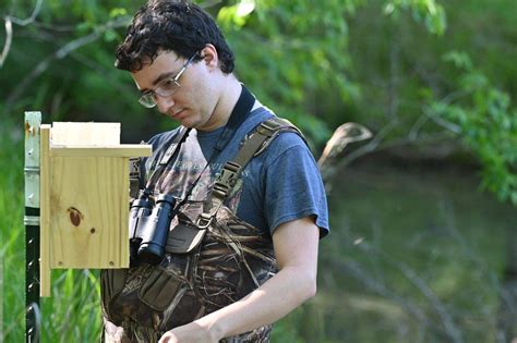 GCSU students doing first study of threatened bird in Milledgeville ...
