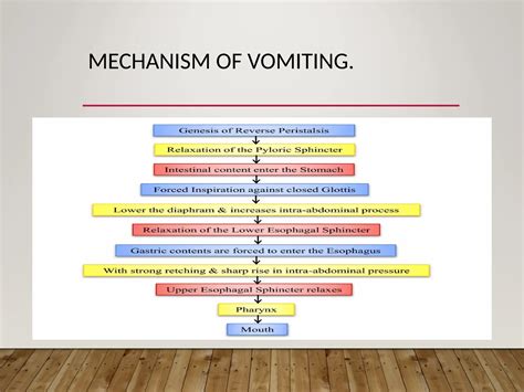 GIT Physiology - Gastrointestinal reflexes..ppt
