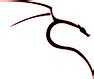 Software-update: Kali Linux 2024.4 - Computer - Downloads - Tweakers