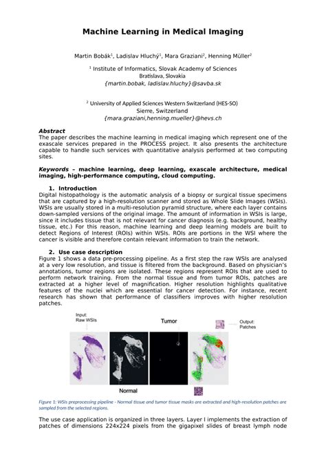 Medical Imaging Machine Learning 的图像结果