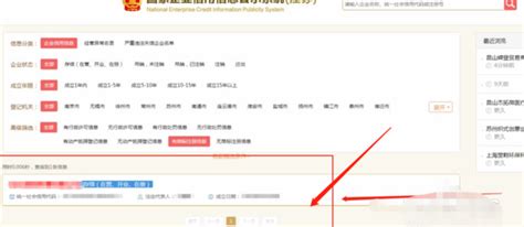 个体工商户营业执照年度报告（年检）网上申报流程_南京