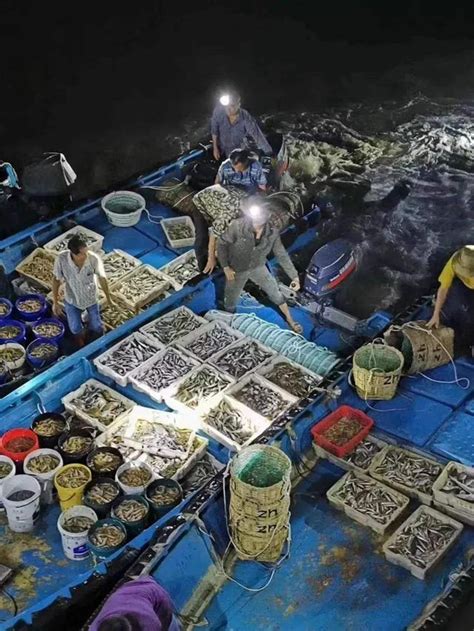 湛江渔民，开海都会做什么？带你了解湛江开渔文化