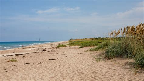 Blind Creek Beachside – Florida Hikes