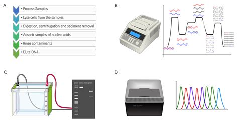 Image result for DNA Barcoding Plants