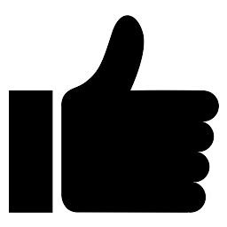 Local Optimal Icon 的图像结果