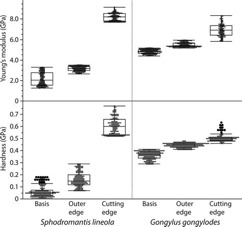 Mandible composition and properties in two selected praying mantises ...