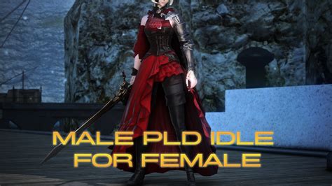 Male PLD Idle for Female | XIV Mod Archive