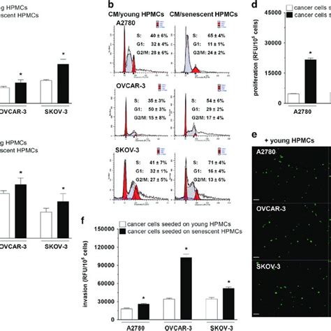 Image result for Intraperitoneal Injection Ovarian Cancer