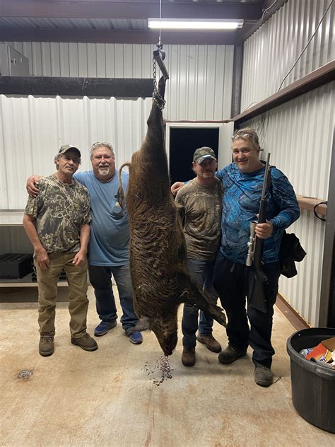 Wild Hog Hunting in Texas | Guided Hunts for Wild Hogs & Pigs