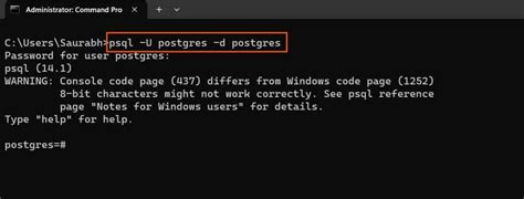 How to Make Table in PostgreSQL 的图像结果