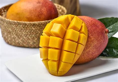 芒果是寒性的水果吗芒果是寒性的还是暖性水果2022已更新今日热点
