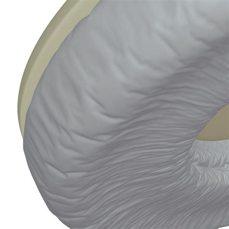 Circle Cloth Simulation Blender 的图像结果