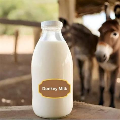 SBM Donkey Farm - Fresh Donkey Milk Manufacturer Supplier from Theni