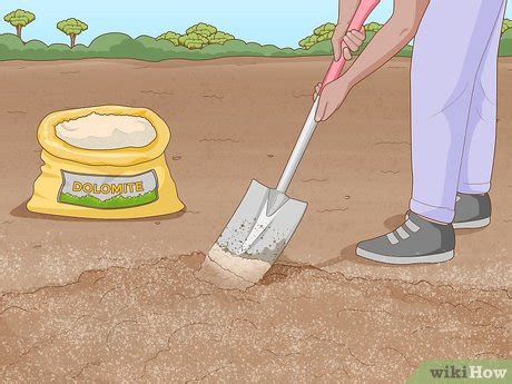 Image result for Tree Farm Tutorial