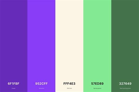 25+ Best Violet Color Palettes with Names and Hex Codes – CreativeBooster