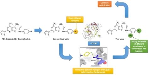 Structure–Activity Relationship of N-Phenylthieno[2,3-b]pyridine-2 ...