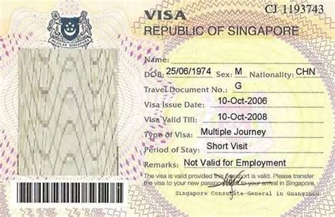 申请新加坡签证，信息填写错误，怎么办？