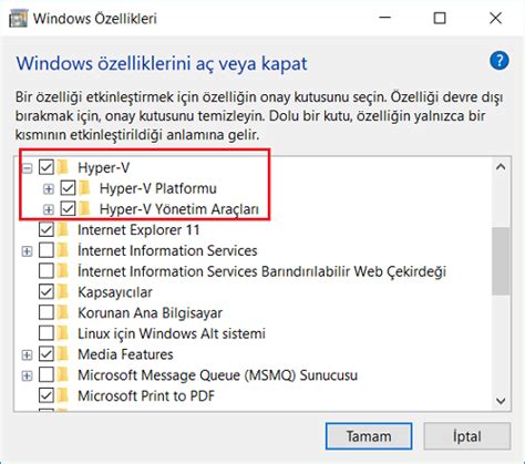 Turn On Hardware Assisted Virtualization 的图像结果