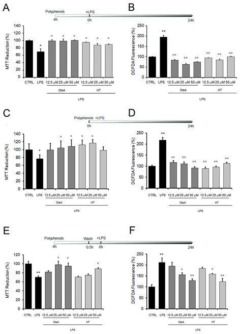 EVOO Polyphenols Exert Anti-Inflammatory Effects on the Microglia Cell ...