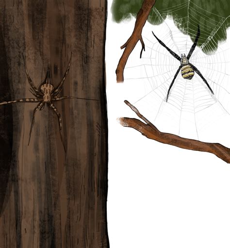 Digital Library of Stories for Kids | Stories | Storyweaver