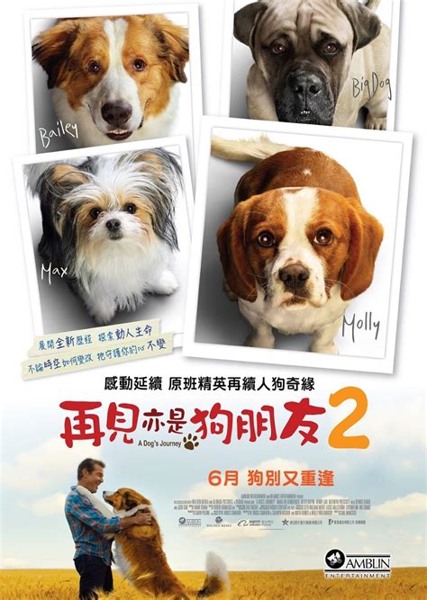 再見亦是狗朋友2 - 香港電影資料上映時間及預告 - WMOOV