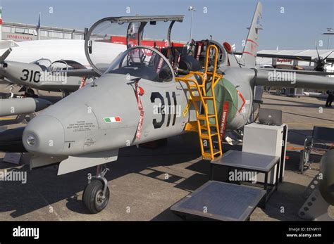 Basic Combat Training 的图像结果