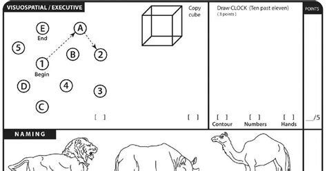 Moca Test Online 的图像结果