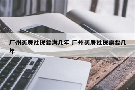 外地人惠州买房 开发商帮办假社保现象普遍_新浪地产网
