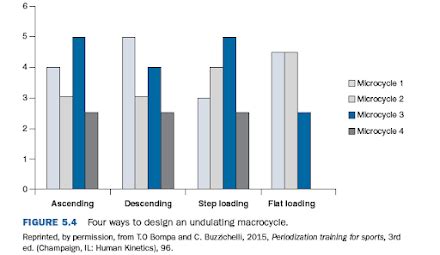 Image result for Periodization Training. Examples