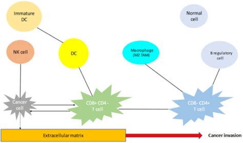 Tumor Microenvironment in Thymic Epithelial Tumors: A Narrative Review