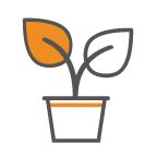 Best Plant Protein Powder in India | MyFitFuel.in