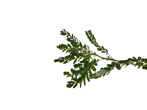 Image result for Modem Free Internet