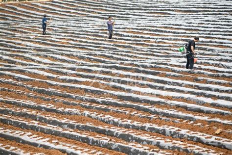 陈昌旭在兴仁市、义龙新区调研时强调 高效统筹疫情防控和经济社会发展 以实干实绩迎接党的二十大胜利召开_腾讯新闻